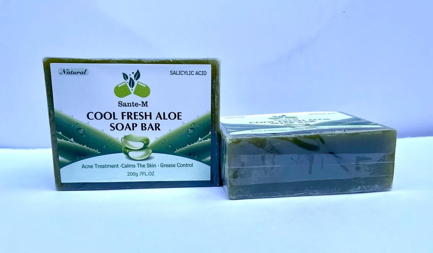 Natural Fresh ALOE & SALICYLIC ACID Soap Bar/Gentle Cleansing -Oil control and Effective ACNE Removal- Leaving Skin Refreshed, Firm and Youthful- Grease (Pack of 2)