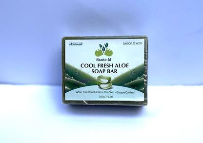 Natural Fresh ALOE & SALICYLIC ACID Soap Bar/Gentle Cleansing -Oil control and Effective ACNE Removal- Leaving Skin Refreshed, Firm and Youthful- Grease (Pack of 2)